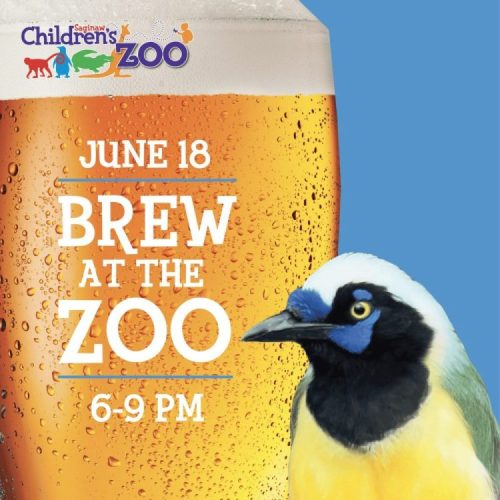 Brew at the Zoo 2025